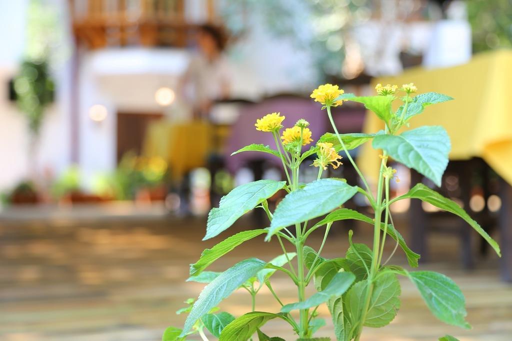Akyaka Yali Capkini Otel Dış mekan fotoğraf